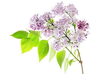 滨口直树：《最终幻想7：重制版》第三部的结局会让所有粉丝都满意